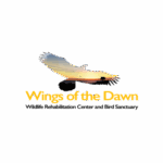 ings of dawn logo